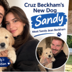 cruz beckham new dog sandy