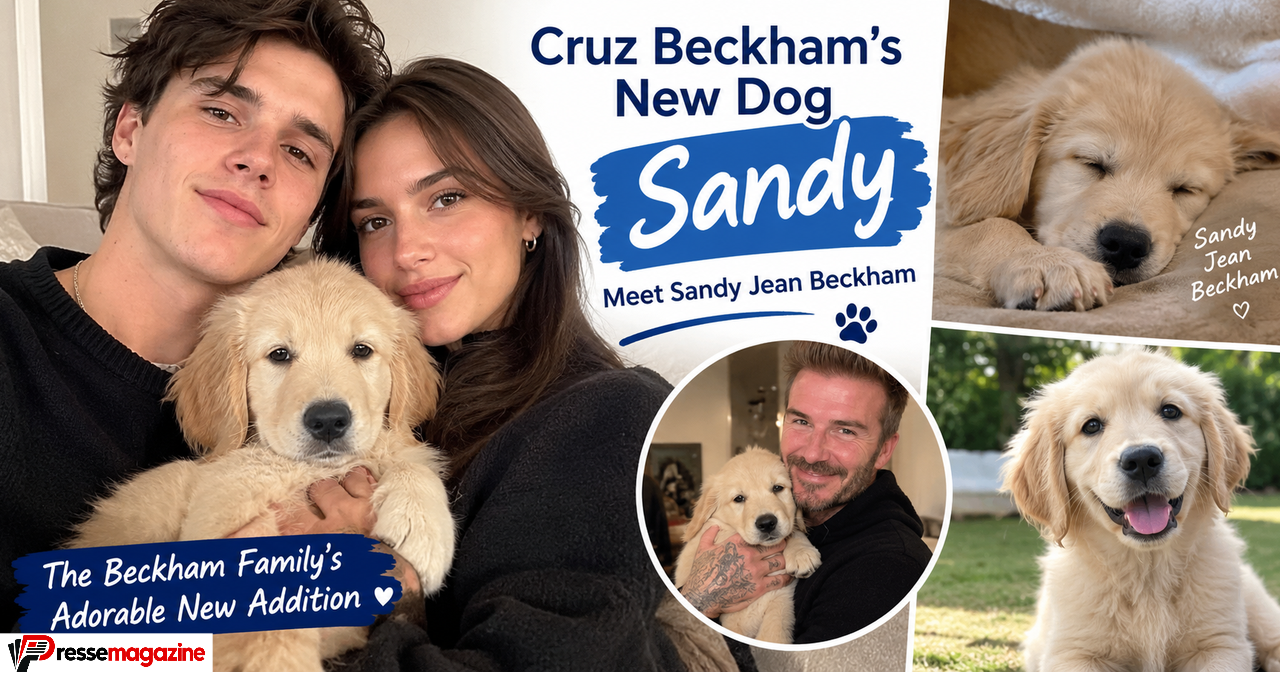 cruz beckham new dog sandy